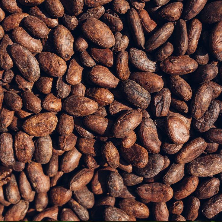 Cocoa