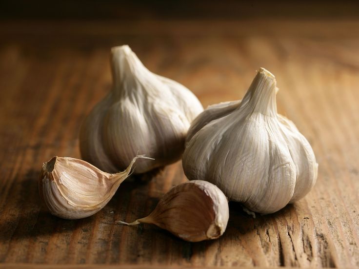Garlic Export