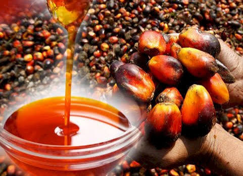 palmoil